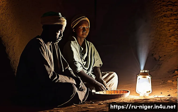 Нигер: вся правда о его новой роли в геополитике Африки 3 니제르의 주요 정치 이슈 관련 이미지 1