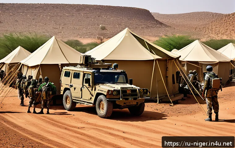 Нигер на перекрестке интересов: как дипломатия формирует будущее региона 4 니제르와 주변국 외교 관계 관련 이미지 2