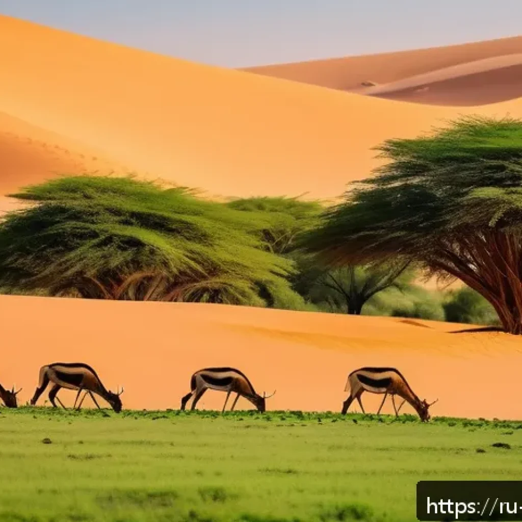 니제르에서 텐트 숙박 가능 지역 - A panoramic view of a national park in Niger during the cool season, showcasing vast sandy dunes ble...