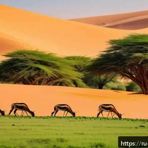 Home 33 니제르에서 텐트 숙박 가능 지역 - A panoramic view of a national park in Niger during the cool season, showcasing vast sandy dunes ble...